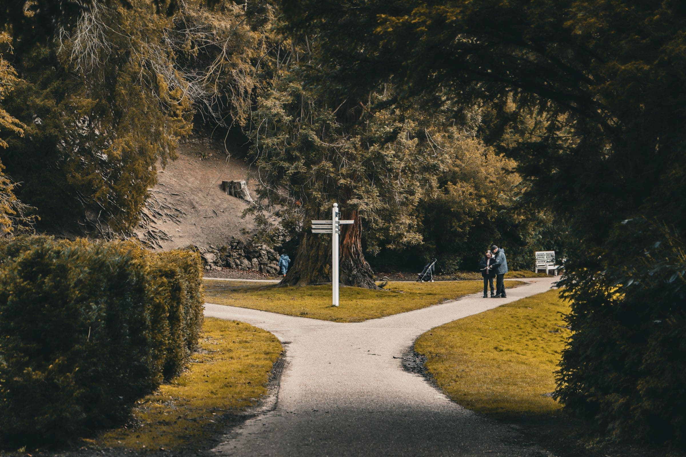 Paved path splitting in two around a signpost in a park